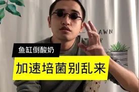 为给鱼缸调节益生菌群，直接给鱼缸里倒酸奶？加速培菌千万别乱来视频封面