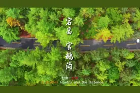 考大家一个字，“宕”怎么读，评论区揭晓答案。 陇南 宕昌视频封面