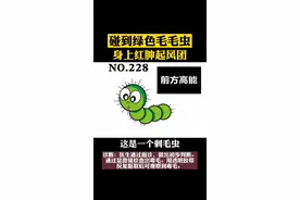 高能预警，看不了的请快跑#毛毛虫 #皮肤 #科普 