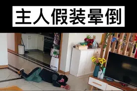 猫狗的反应果然都没让我失望😂#抖音好物年货节 #跨过2021 #搞笑视频封面