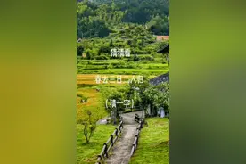 （打一字）