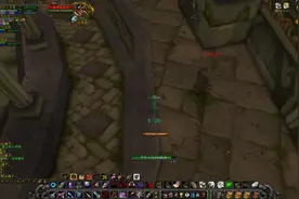 #魔兽世界怀旧服 接上一个视频。。哈哈哈