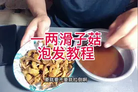一两50克的滑子菇，泡发方法和泡发后的样子。请东家参考。视频封面
