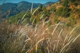 家访之旅，记录一段真实的贫困#在路上的人视频封面