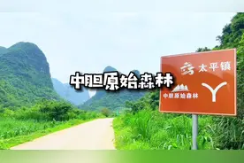我在柳州周边发现了一片原始森林，这里有百年参天古树视频封面
