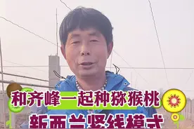 给大家展示一下，新西兰紧线模式 #和齐峰一起种猕猴桃 @抖音短视频 @企业号小助手视频封面