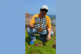 浒苔来袭，吃了它#青岛 #山东生活日记 #海水浴场 #浒苔 #渔船 #青岛旅游攻略 