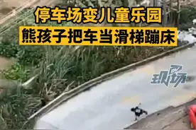 #熊孩子把车当滑梯蹦床玩耍 现场车辆疑似不断发出报警声，小孩仍未停止蹦跳 #广东dou知道视频封面