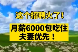 这个招聘火了！月薪6000元包吃住，#夫妻 优先！#牧羊人 #草原 #羊群 #巨量中国抖在杭州 @抖音短视频视频封面