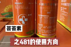 14-羟基芸苔素淄醇是新一代的植物生长调节剂