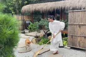好的婚姻状态是，我不迁就你，也不勉强你，桌子上有你喜欢的肉视频封面