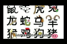 各生肖需要选用什么的头像会更合适#玄学 #十二生肖 #六爻