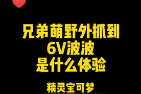 我就花了5分钟！！！满v波波他来了！@宝可梦果子 #精灵宝可梦 #口袋妖怪 #口袋进化 #神奇宝贝 #宝可梦 视频封面