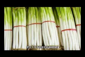 周公解梦之梦见大葱视频封面
