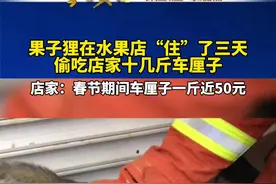 据了解，果子狸学名为花面狸，它们主要吃果实，也吃鸟类、啮齿类、昆虫和植物根。消防员在抓到果子狸后，将它拿到野外放生。