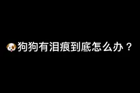 今天教大家怎么给毛孩子去泪痕～#比熊 #狗狗 #狗狗去泪痕视频封面