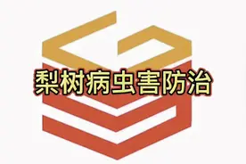 梨树病虫害“一年三次用药”#三农 #抖音助农 #抖音助农视频封面