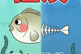 淡水鱼放生到海里?这是哪位活菩萨想出来的操作！#放生 #海洋生物 #动物 #百亿流量扶持 #科普 #冷知识 #涨知识 视频封面