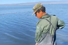 刚才@信念-心念 说卤虫卵是高级观赏鱼饲料，我让渔民示范一下如何打捞卤虫卵。#打卡新疆 #哈密 #巴里坤湖