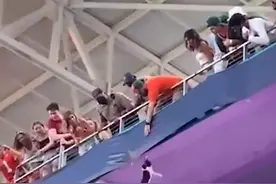 猫咪误入球场，悬挂高台支撑不住坠落，幸好被下方球迷接住！视频封面