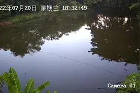 看守果地和鱼塘的监控，可360度旋转无死角 ，夜间红外线自动扫描视频封面