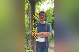 大家有见过老鼠搬家吗#宝珊讲古 #粤语文化 #涨知识 @DOU+小助手视频封面