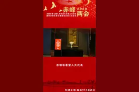 市领导看望人大代表#赤峰综合广播 hbb视频封面