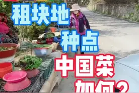 其实在韩国种菜的中国人，都是有💰人 🤫之前我说过一斤豇豆50大洋！#韩国生活 @抖音短视频视频封面