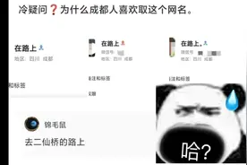 成都的“在路上”是什么梗 #专治不开心 #网友神评论