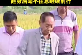 2016年，86岁的#袁隆平 深入田间考察时滑倒，起身后毫不在意继续前行。现在再看这段视频，泪水已经迷糊了双眼视频封面