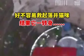 6月10日，江苏盐城。猫咪掉井里，好心女子进行救助，没想到刚救上来，猫咪又自投罗网。这救援也是心累啊视频封面