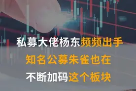 私募大佬杨东频频出手，知名公募朱雀也在不断加码这个板块！#私募#公募#朱雀#宁泉资产#券商视频封面