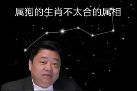 属狗的生肖不太合的属相#生肖 #周易 #亲情 @抖音短视频 @DOU+小助手视频封面