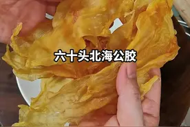六十头北海公胶，上汽蒸15分钟，倒入纯净水里，封上保鲜膜泡发24小时即可，你学会了吗？#金汤花胶 #真材实料才能做出好味道 