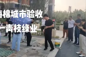 小区海棉城市验收 一一青枝绿业#美化环境 #市政工程 #绿化工程视频封面