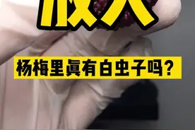 杨梅里面有白虫子吗？#健康视频封面