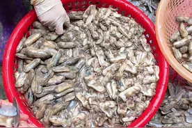 #蛏子的处理方法  今天是爱意满满的一天😘小妙招送给你😍喜欢我点个关注吧视频封面