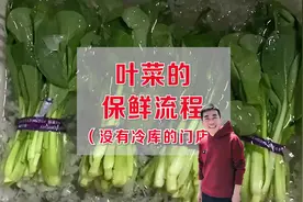叶菜损耗大，核心在于如何正确的保鲜方法#生鲜超市 #叶菜保鲜视频封面