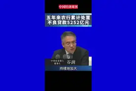 五年来农行累计处置不良贷款5252亿元#银行 #贷款视频封面
