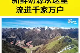 【#瞰小康丨合作社机器轰鸣，新鲜奶源从这里流进千家万户】#玉树大地