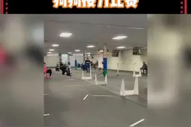 来欣赏下激烈的“狗狗接力比赛”，好精彩！心疼一下最后的腊肠崽崽，它真的尽力了！！！ 视频封面