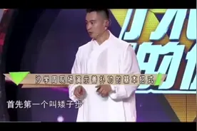 基本功很重要，矮子步大家先练一会有看看，接下来逐步展示。
