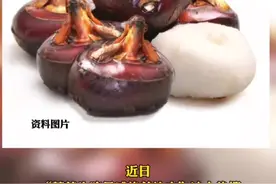 马蹄（荸荠）生吃可能感染姜片虫？博物杂志回应：“是真的。”#马蹄 #水果 视频封面