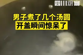 12月8日，重庆。男子煮汤圆，没想到一开盖吓了一跳，汤圆竟有包子大