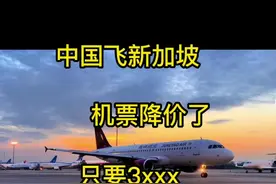 中国飞新加坡机票多少钱？降价后看看只要几千？#去新加坡视频封面