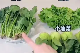 特殊时期蔬菜的储存方法！##生活好帮手 视频封面