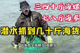 潜水抓到三四十斤海螺，七八斤海参，真过瘾！#赶海 #渔村生活视频封面