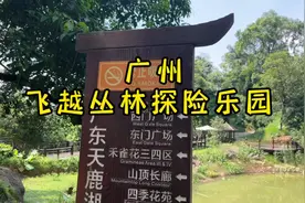 #上热门  广州飞越丛林探险乐园  #爱探险的一家#暑假出逃计划视频封面