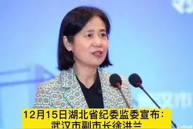 武汉女副市长徐洪兰被查！5天前参加公开活动。她负责工业、安全生产等工作。#反腐 #湖北视频封面