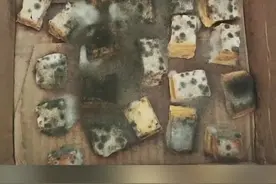 霉豆腐长毛了就能吃？除这样的毛，其余都不能吃！#女子自制霉豆腐长毛仍要吃 #霉豆腐 #毛豆腐 #腐乳 #发霉 视频封面